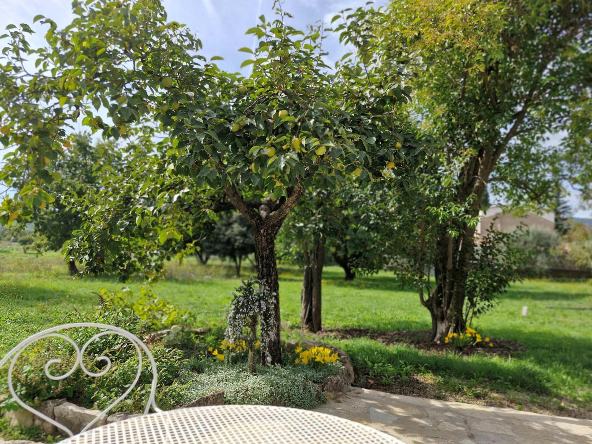 La Bastideta, Fayence Exterior foto