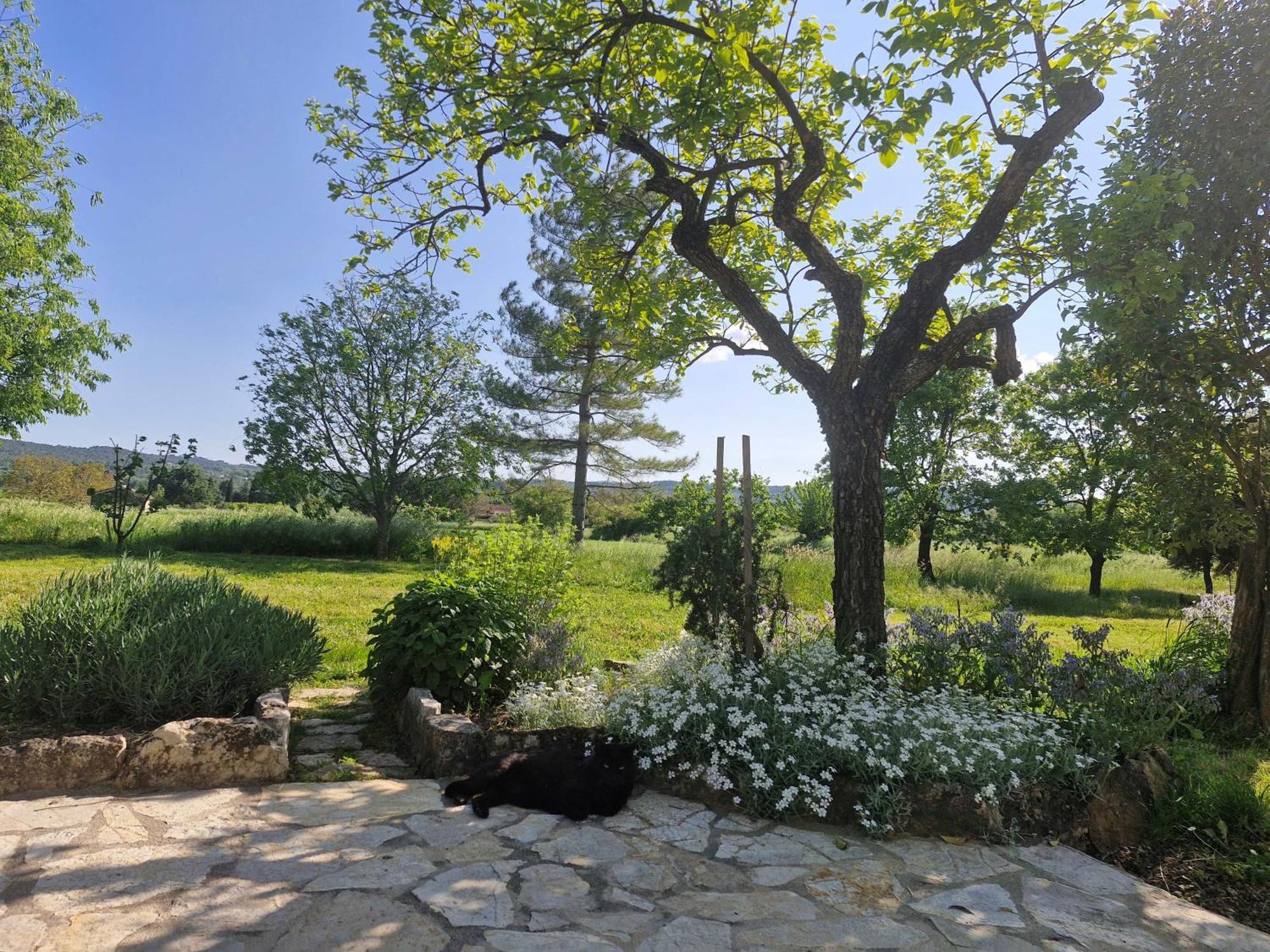 La Bastideta, Fayence Exterior foto